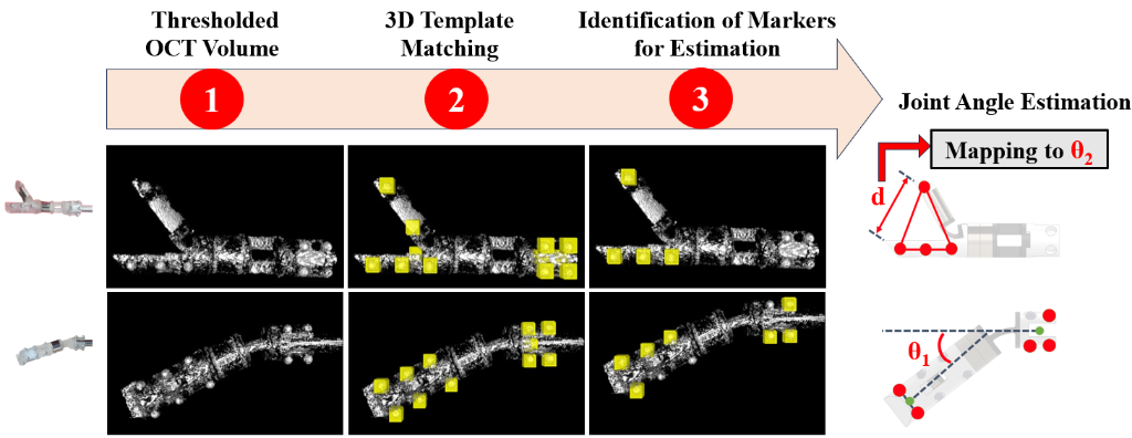 Estimating the Joint Angles of an Articulated Microrobotic Instrument using Optical Coherence Tomography